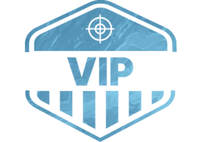 VIP_GRAPHIC-2