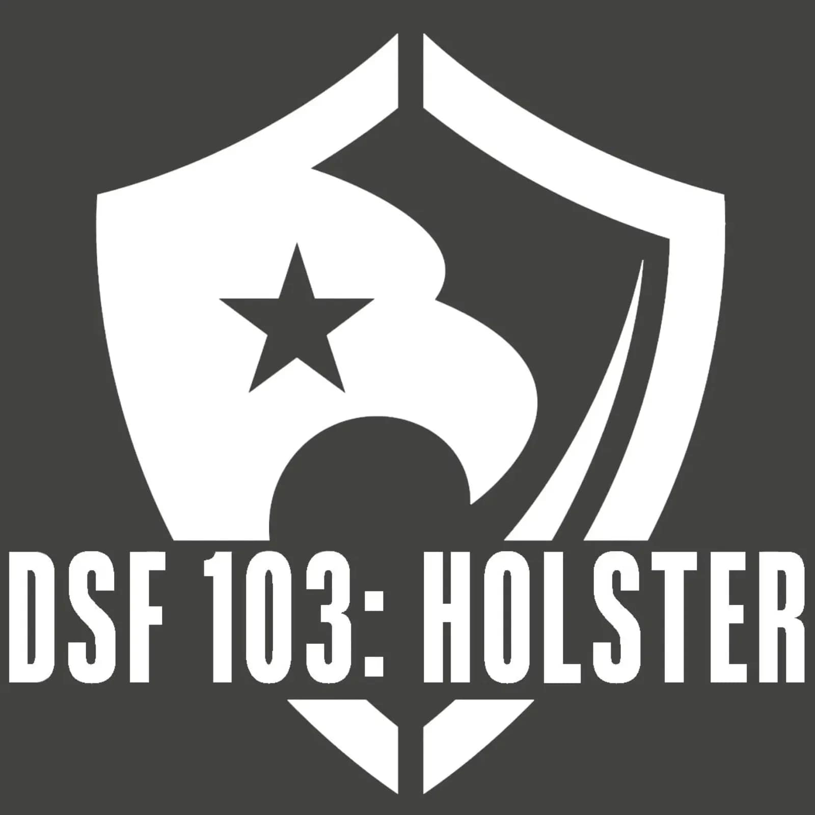 DSF 103: Holster Clinic